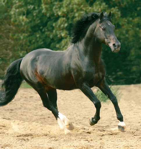 Power Boy RP 112 är död