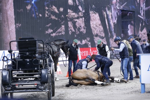 Körhäst dog inne på arenan