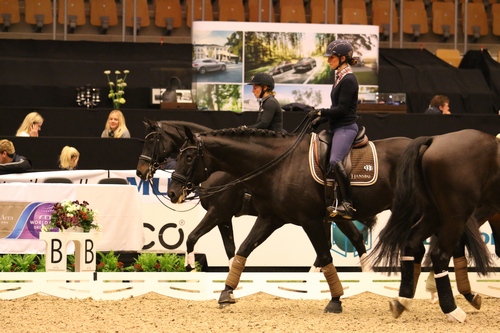 Öppen träning inför WC-premiär