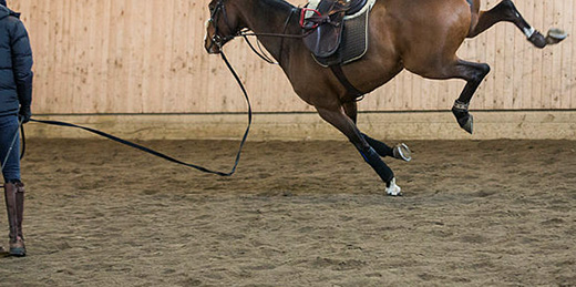 Över 100 000 kronor i skadestånd efter hästolycka