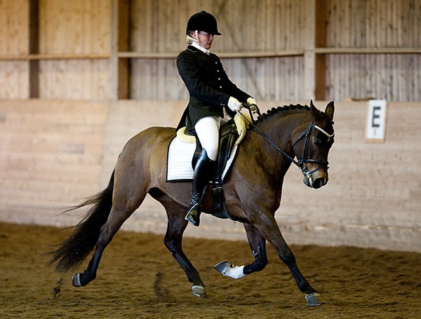 Kylslaget dressyrmeeting i Grums