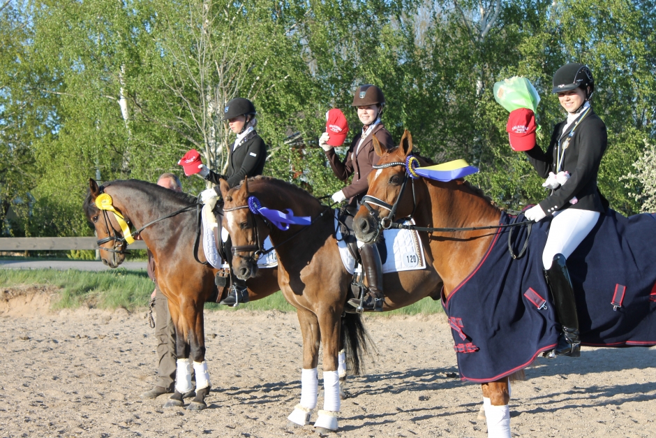 Resultat som bar till Falsterbo