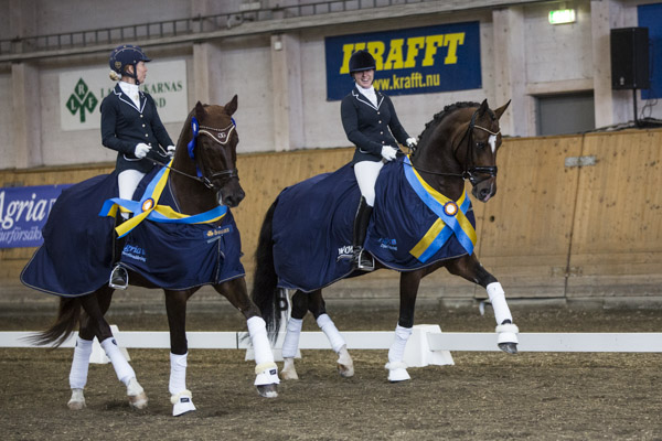 6-åringarnas dressyrfinal