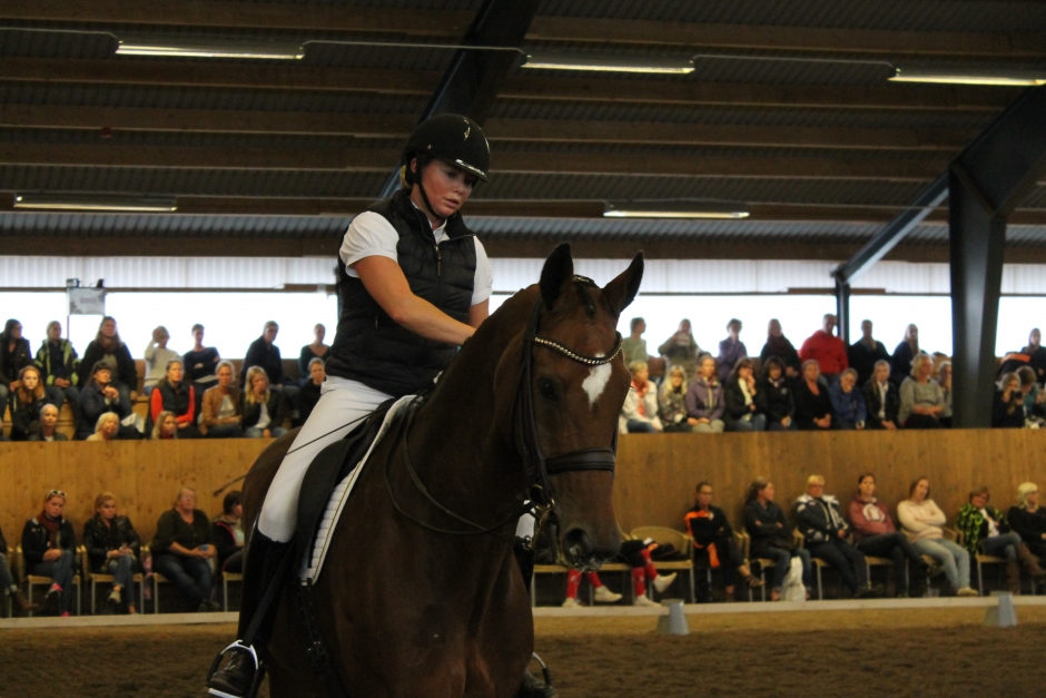 Från ponny till Grand Prix, enligt Haid Bondergaard