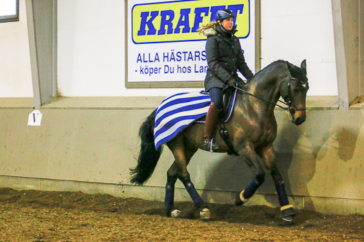 Årets komet rider tränslöst