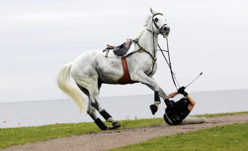 Vilken är Den Farligaste Sporten