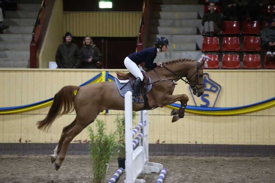 Hoppfantomerna testridna