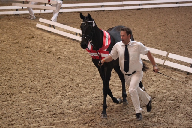 Stigma åter i topp i DV