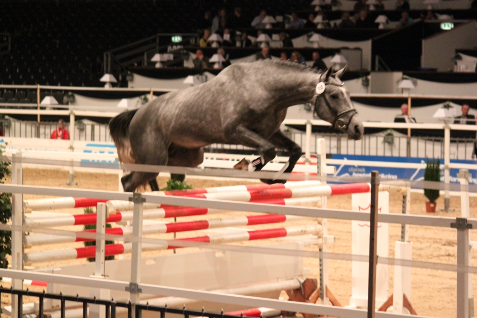 Rekordauktion i Herning