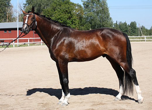 Diplom till Mr Amazing C