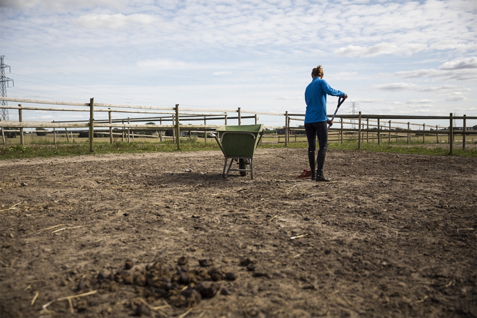 ”Det är tufft att jobba som hästskötare, man måste inse det”