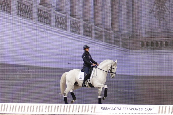 Mer om Alizee Froment, Sultan och Mistral