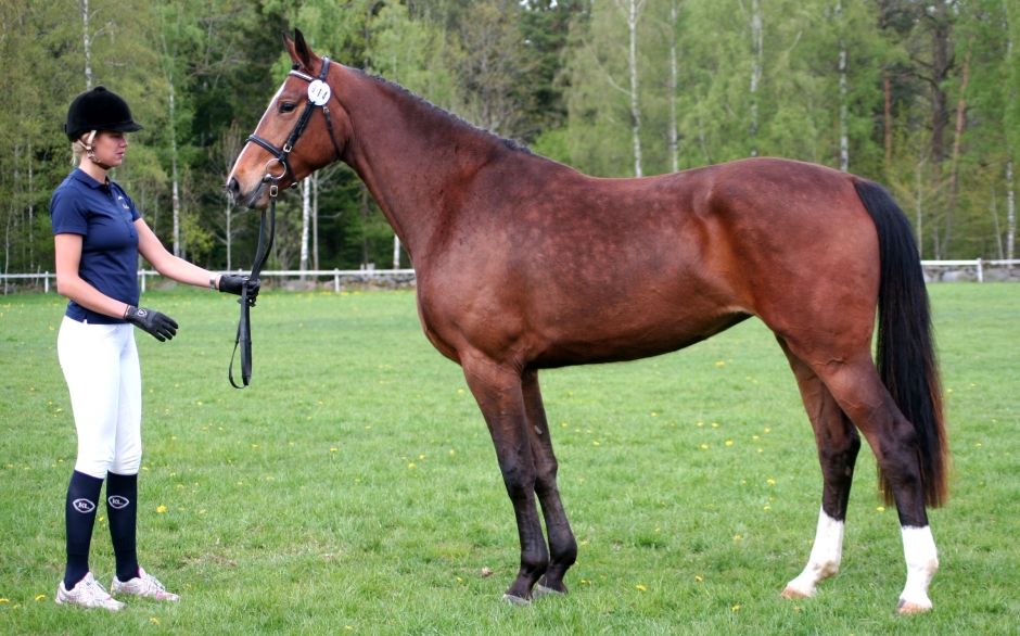 3-årstest i Nybro