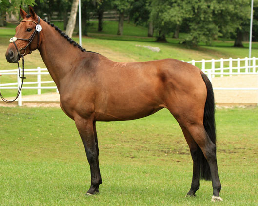 Många visades i Skaraborg