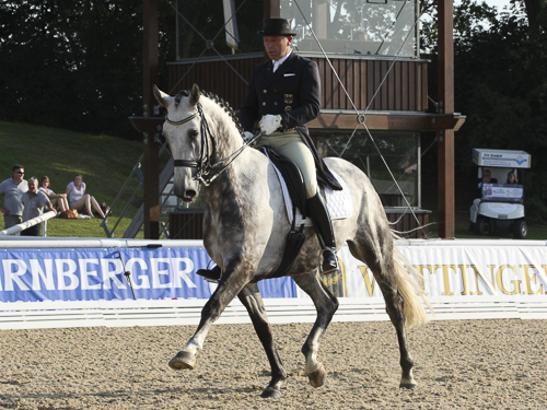 SWB-hästar till Nürnberger Burgpokal