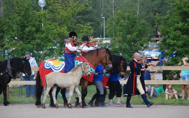 Stämningsfull nordsvensk hästdag