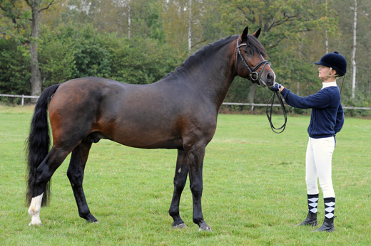 Superpoäng i gångarter till Stackarps Jackson