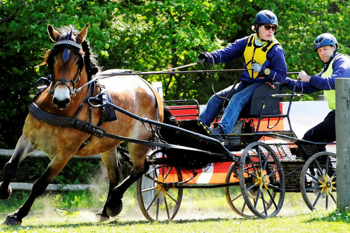 Skentur satte punkt för medelmåttig svensk VM-insats