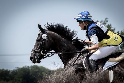 Hiort af Ornäs hyllad på gala