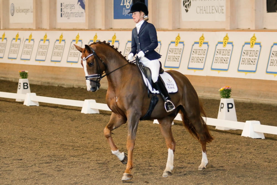 6-årsfinalen påfylld
