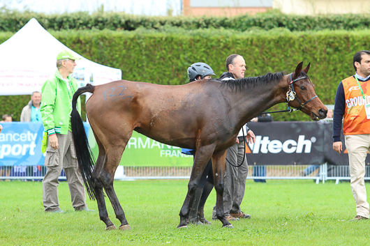 Svag markering från SvRF