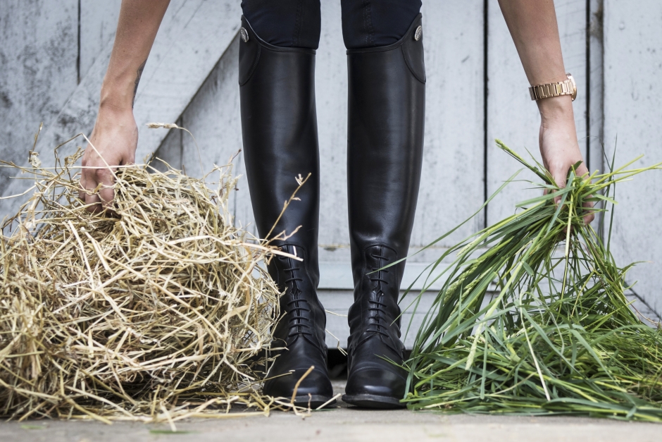 Foderbyten är ofta en orsak till fång