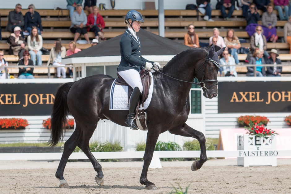 Dressyrens 4-årsfinalister med omdöme
