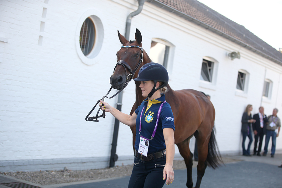 Grönt ljus på vet-check