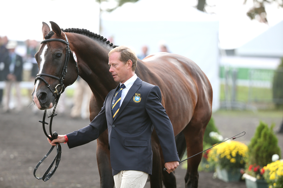 Casall ASK och Cafino klara