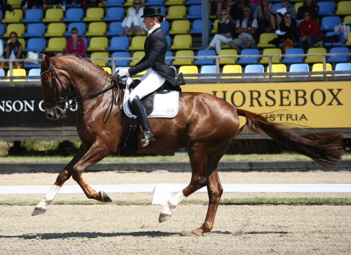 7-åringar till dressyrfinal