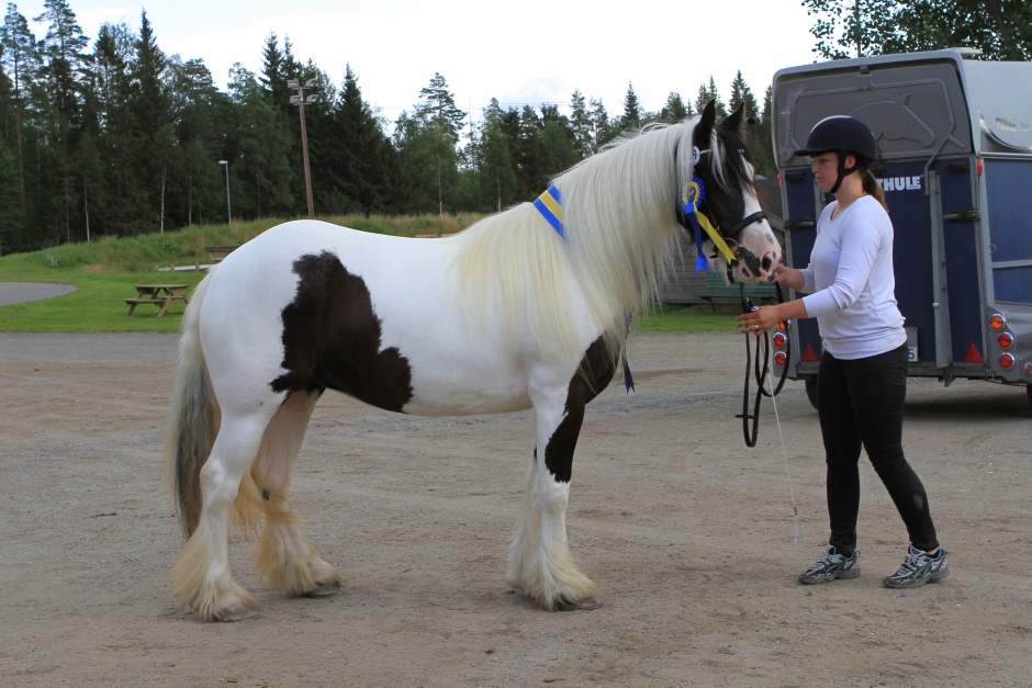 Sadie vackrast på tinkerriks