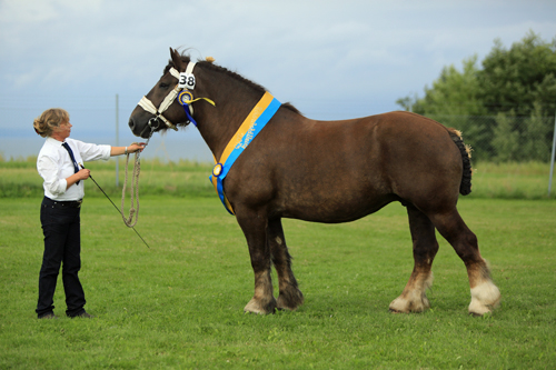 Wiljas andra BIS