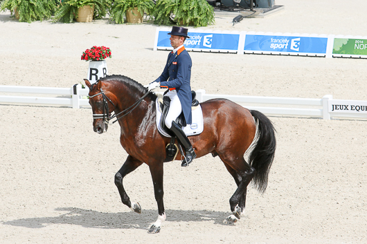 Nya A-premierade hingstar