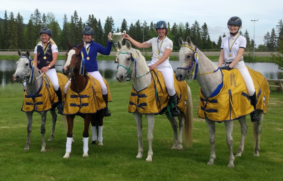 SM-guld till Mälardalens DRF