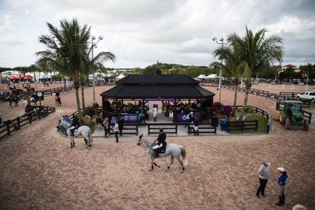 Bakom kulisserna i Wellington