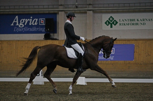 Olof och Bollinger bäst i test
