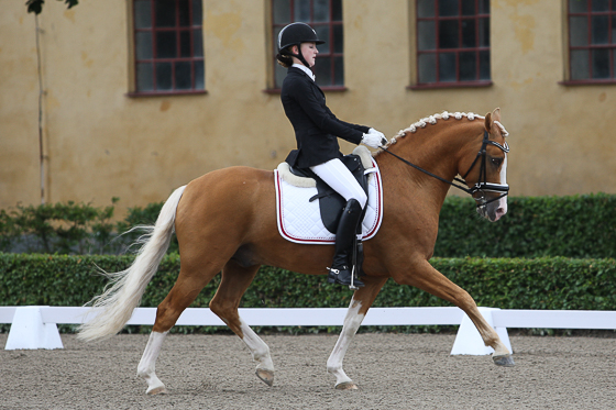 NM-silver till ponnylaget