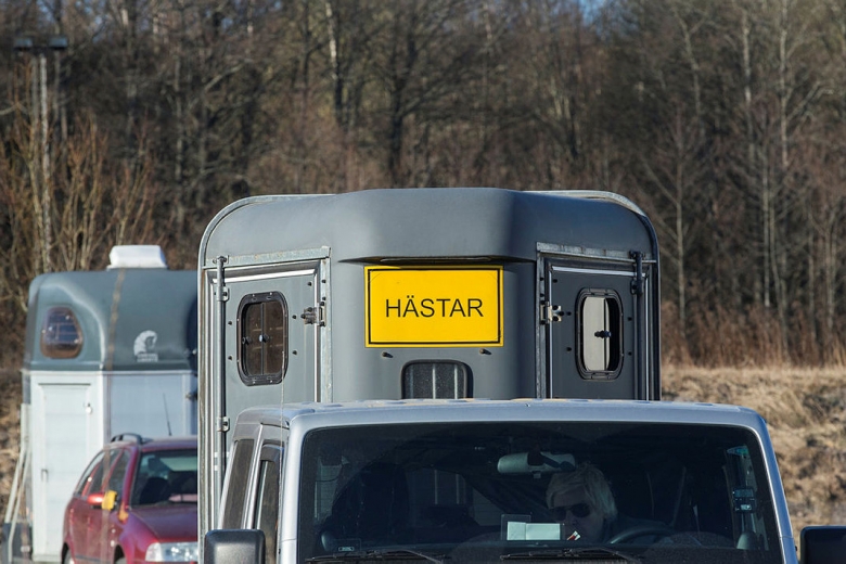 Transportolycka orsakade stopp på E22 – häst fick avlivas